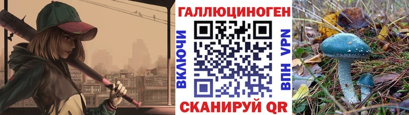 mega онион  Белорецк  Псилоцибиновые грибы прущие грибы 